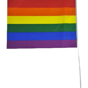 דגל הגאווה